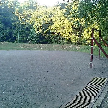 Zoldovezet Vendeghaz Guest house