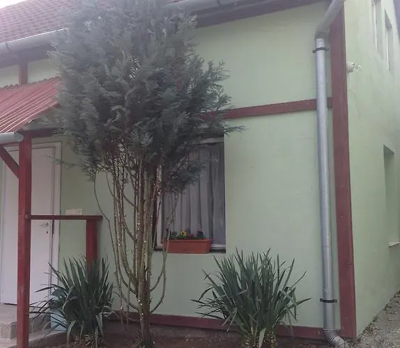 Zoldovezet Vendeghaz *